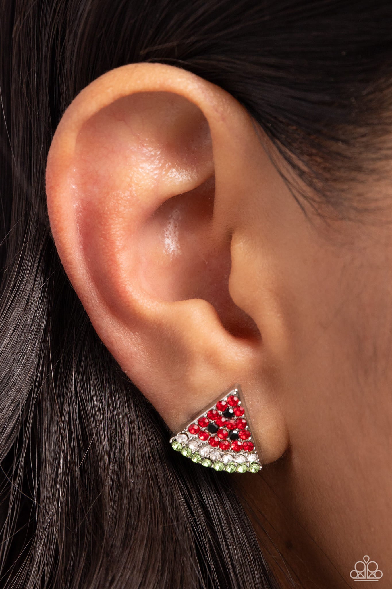 Watermelon Slice Red Earrings