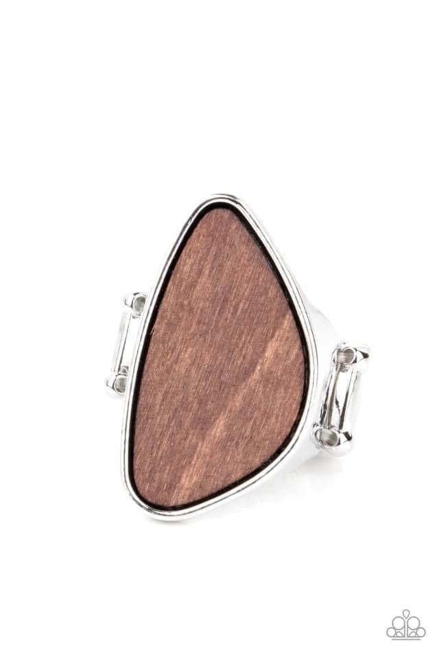 Perfectly Petrified Brown Wood Ring